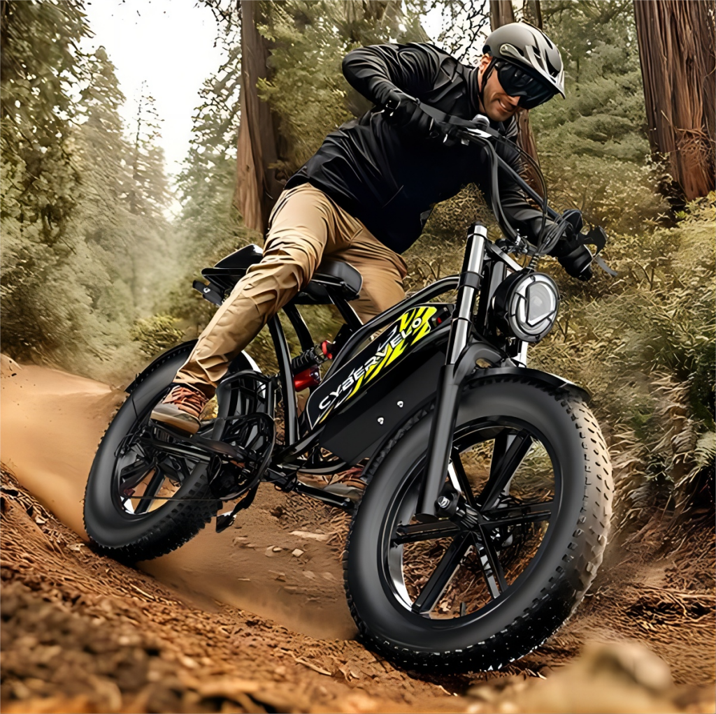 Beach Riding Paradise: Fat Tire Electric Bike Beach Test