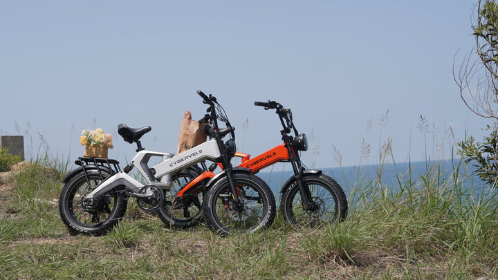 Fat Tire Ebike vs Regular Tire Ebike: Which Size Is Best?