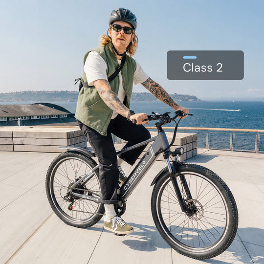 EK3 26" up 80 Miles 28Mph