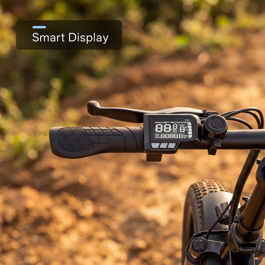 EK4 up to 80+ Miles 28 mph