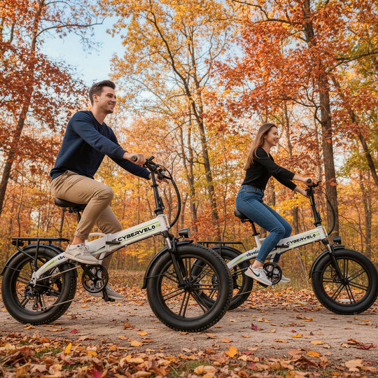 Combo-Folding Ebike EK5