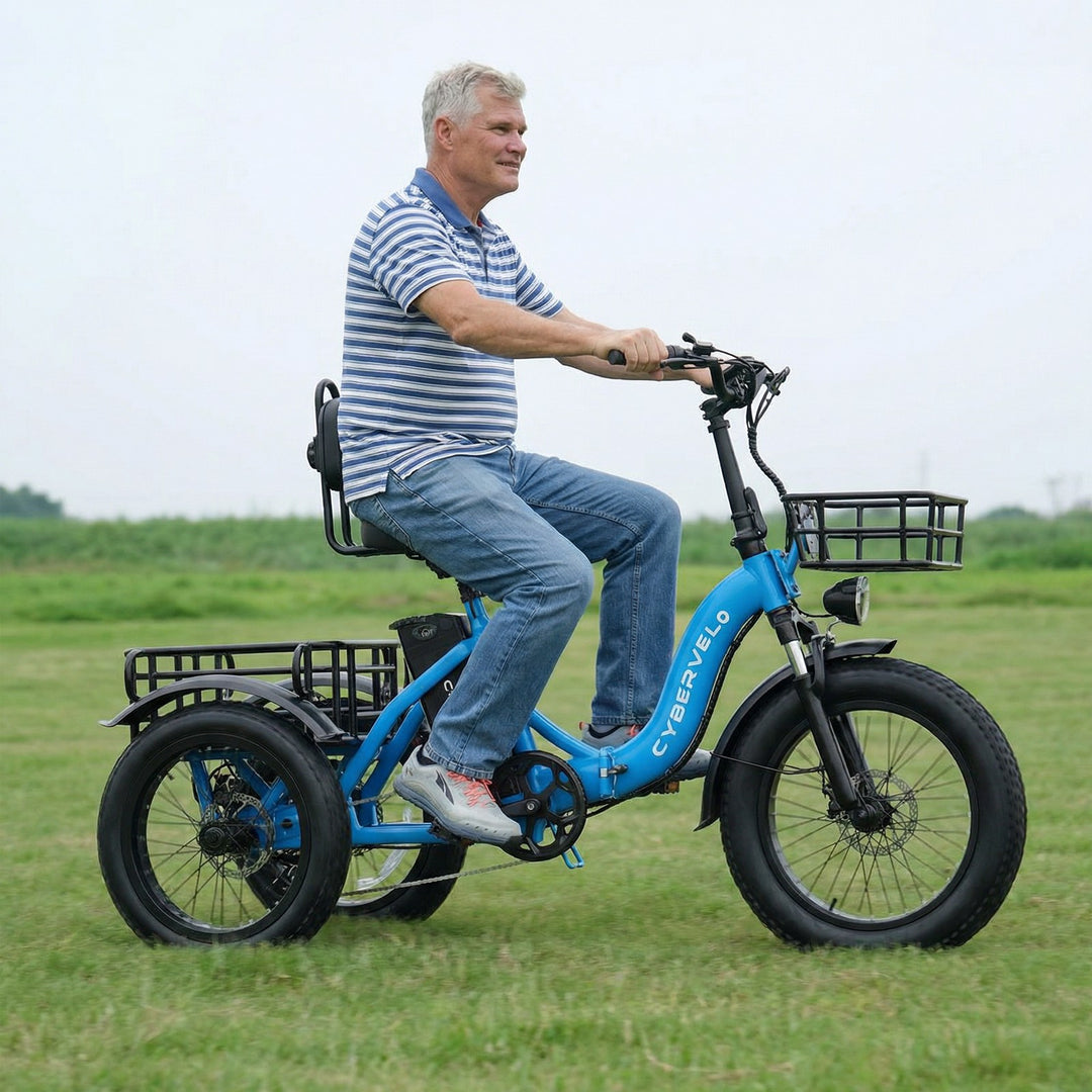 3 wheel bicycle with engine C16 Electric Tricycle 48V 20.8AH Blue