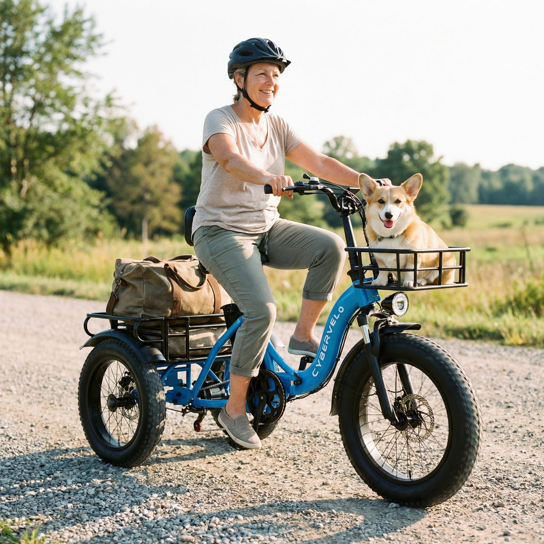 electric bicycle trike C16 Electric Tricycle 48V 20.8AH Blue