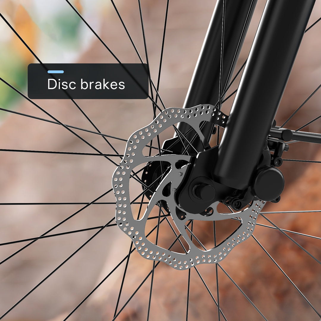 EK2 26" up 80 Miles 28Mph