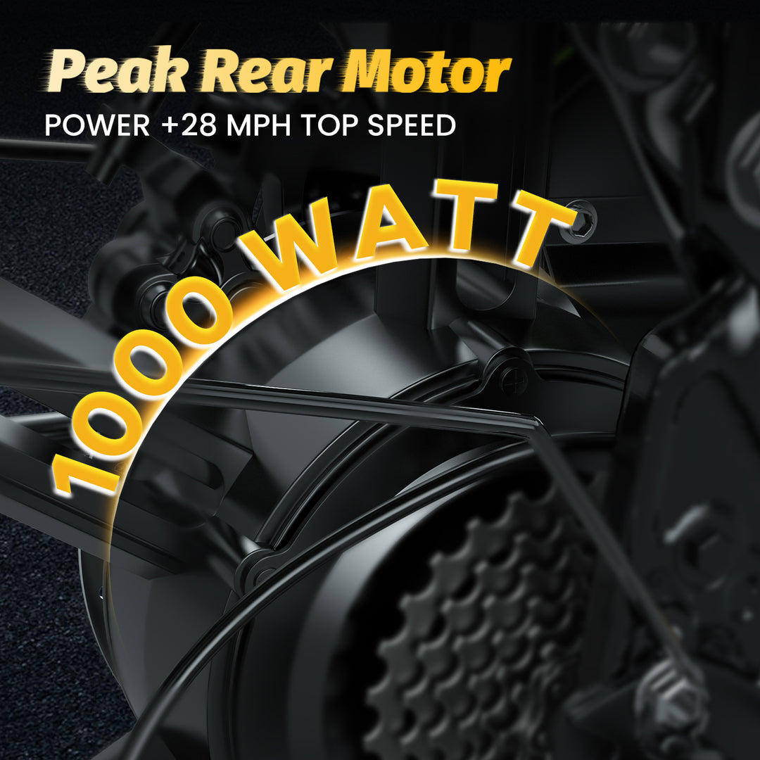 Combo-Folding Ebike EK5