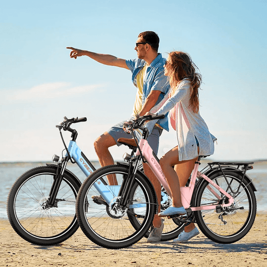 EK2-Combo 26" up 80 Miles 28Mph