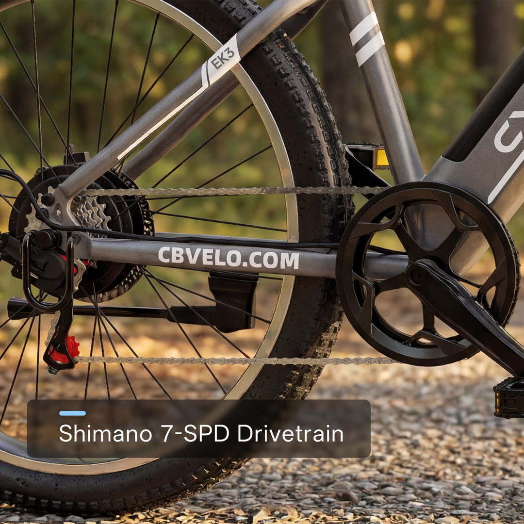 EK3 26" up 80 Miles 28Mph