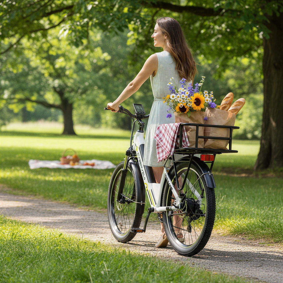 E BIKE Rear Basket