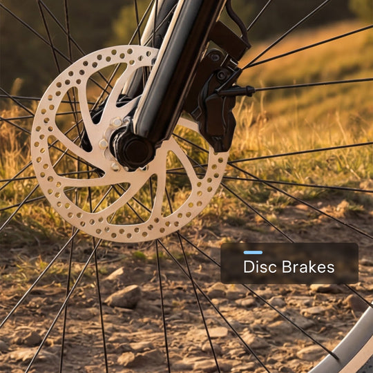 EK3 26" up 80 Miles 28Mph