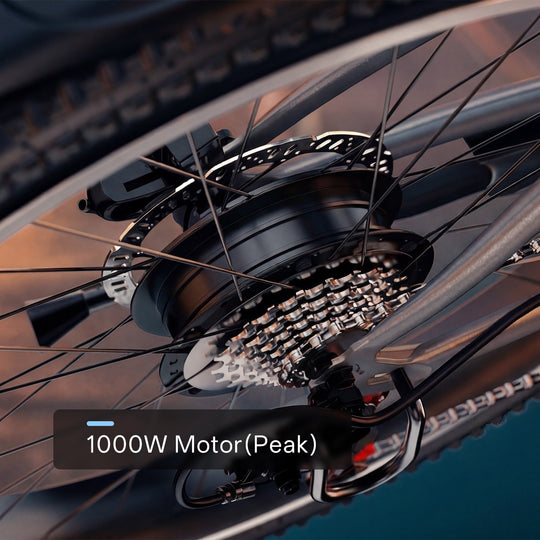 EK3 26" up 80 Miles 28Mph